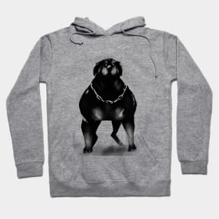 Oso the great Hoodie